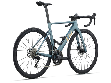 EnviLiv Advanced 2 - Midnight Pine