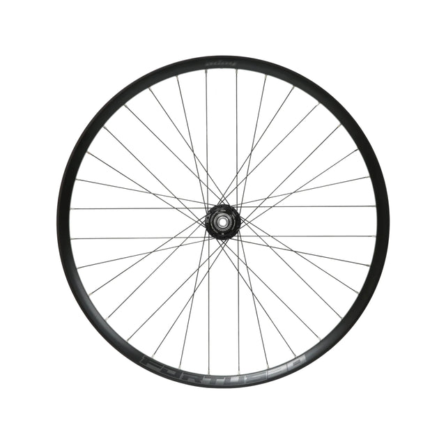 Fortus 30W Pro 5 E-Bike Disc Hinterrad 29 Zoll 12 x 148 mm Boost Shimano Micro Spline Stahl - Schwar