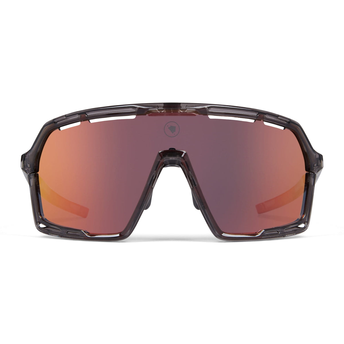 Pro SL Goggle Set - Gray 