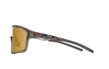 Sunglasses RUMBLE-001IBX