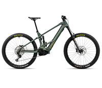 WILD M20 Mullet - Vue Carbone Algue (Mat)