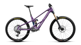 Wild LT M-Team RS Mullet - Royal Plum/Noctiluca Carbon View (Gloss)