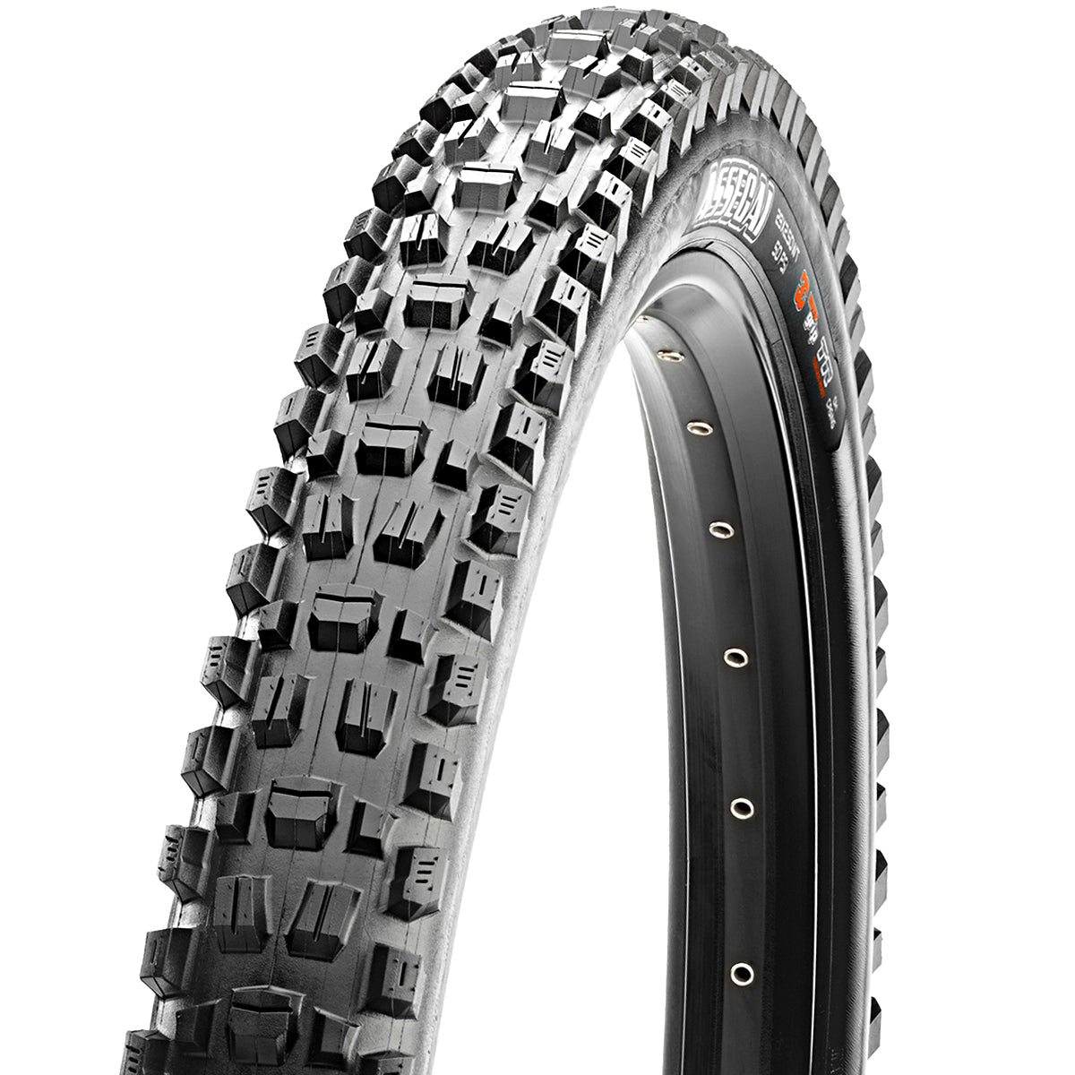 Assegai WT Clincher Tire - 27x2.50 inches - 3C MaxxTerra EXO+ TR
