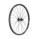 FR 1950 Classic DB 29 pouces roue arrière, 30mm Alu, IS-6Loch, Shimano, 150/12mm TA