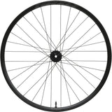 RX24 - Vorderrad - Pro 5 Disc - schwarz