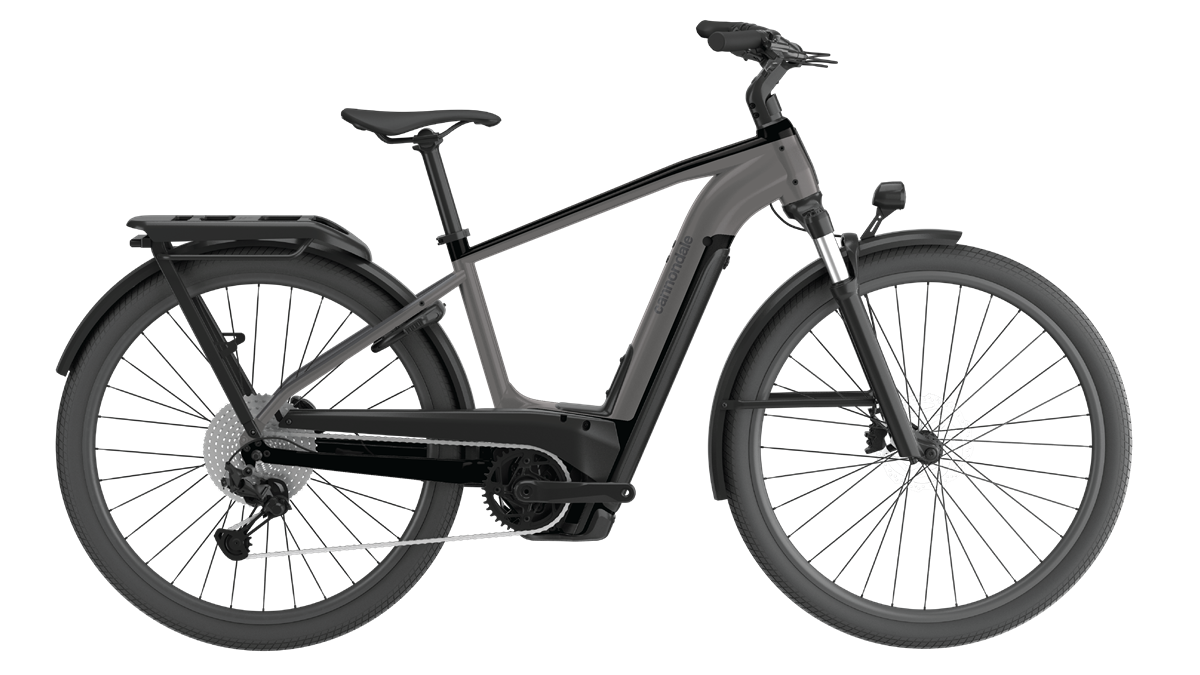 Tesoro Neo X 1 - Grey Cannondale