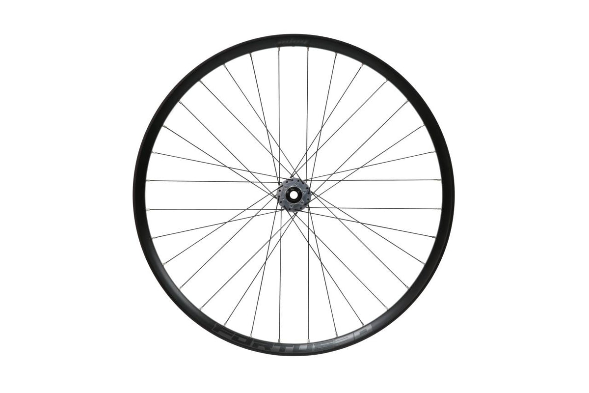 Fortus 30W Pro 5 Disc Vorderrad 29 Zoll 15 x 110 mm - silber