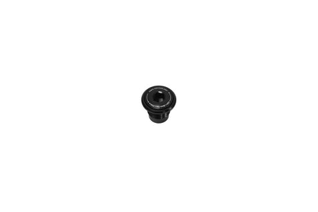 Thru Axle Bolt - UDH - schwarz