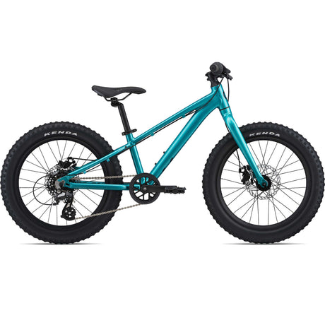STP 20 Teal