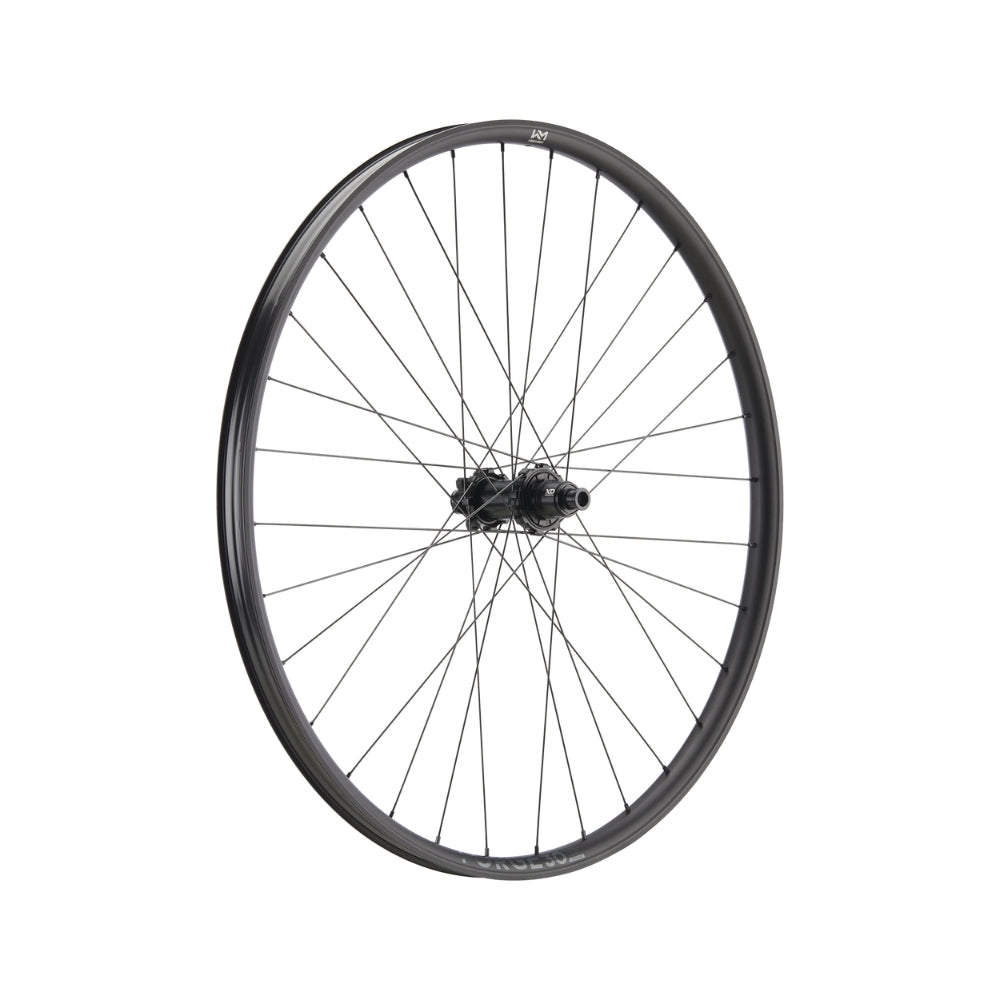Forge 30 DH Race 29" Aluminium, 6 Loch, 12x148 mm, Shimano Micro Spline - schwarz