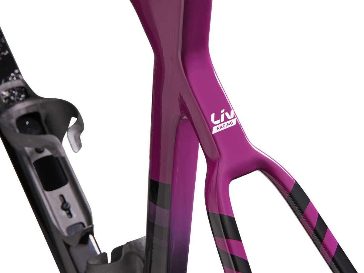 EnviLiv Advanced SL Rahmenset - Aubergine / Raw Carbon Liv