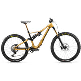 RALLON M-TEAM Golden Sand-Night Black (Mat)