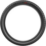 Scorpion Race XC RC, 29" neumático plegable - negro / ProWALL