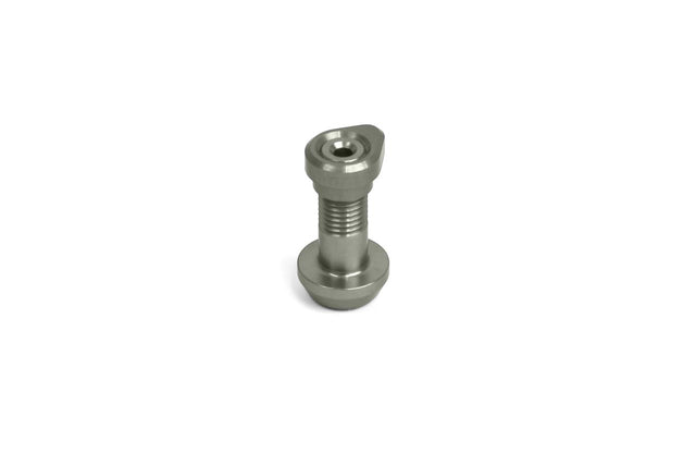 Replacement screw for Hope seat clamps 36.4 mm and larger - silver
