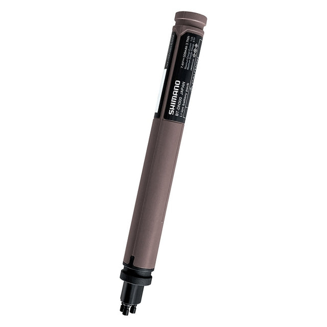 Akku BT-DN300 intern