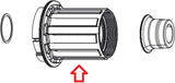 Freilauf Kit für 177 und 176 Nabe und für 177D/176D Naben 11-fach, Shimano/SRAM Zipp